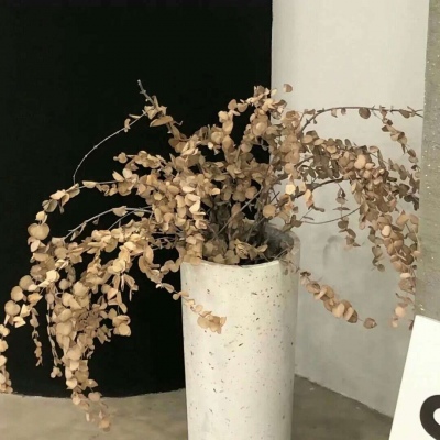 兽设性格设定技巧福瑞交流群